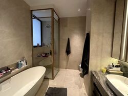 The Avenir (D9), Condominium #563740471
